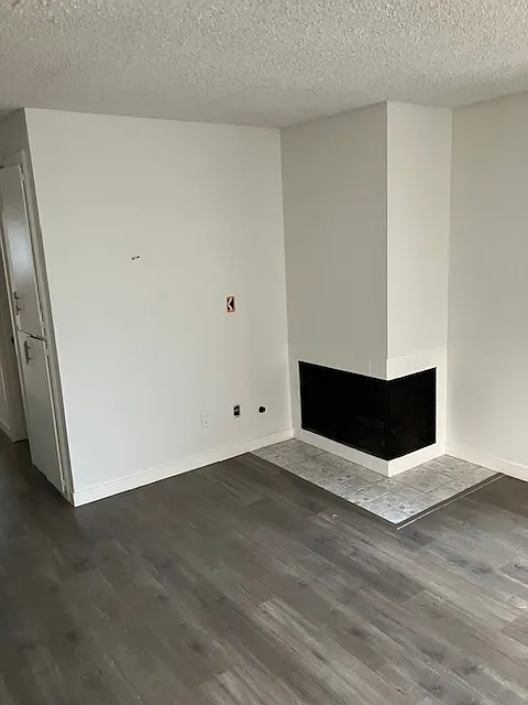 2 bed, 730 sqft, $3,900 — Photo 3