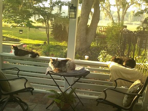 morning sunrise on porch