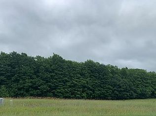 7729 Floreys Ranch Rd, Buckley, MI 49620