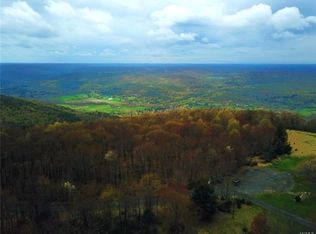 49 Mountainview Rd, Ellenville, NY 12428