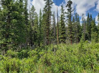 585 Porcupine Rd, Fairplay, CO 80440