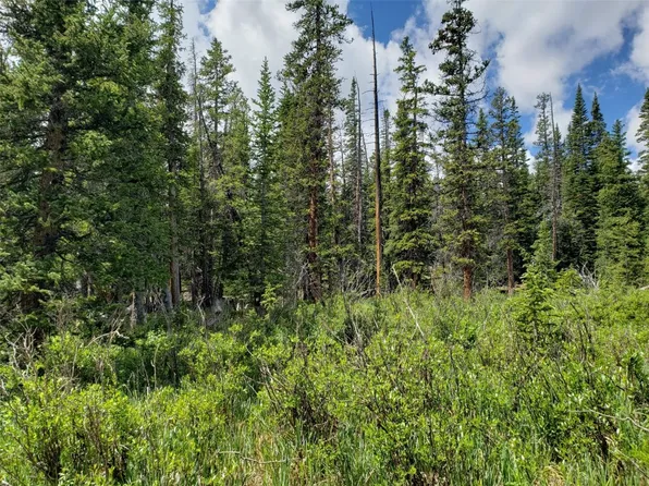 585 Porcupine Rd, Fairplay, CO 80440