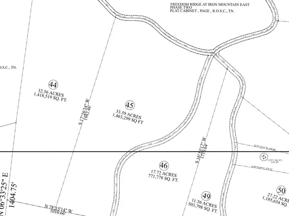 0 Cox Hollow Rd Lot 45, Dover, TN 37058