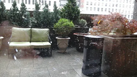 Rented by Laura A Noto LREB