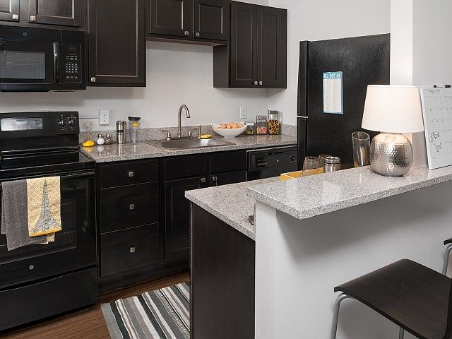 Cook and Entertain in Style with Granite Countertops and Black Appliances at Legacy Student Living