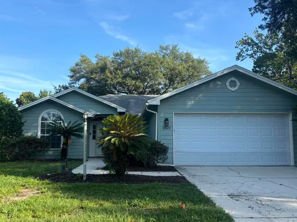 12619 FISH HAWK Lane, Jacksonville, FL 32225