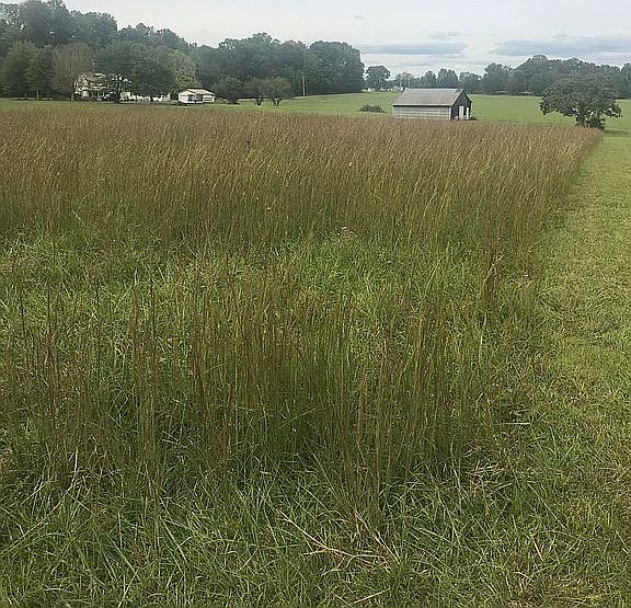 1st image of Country Club Est #4