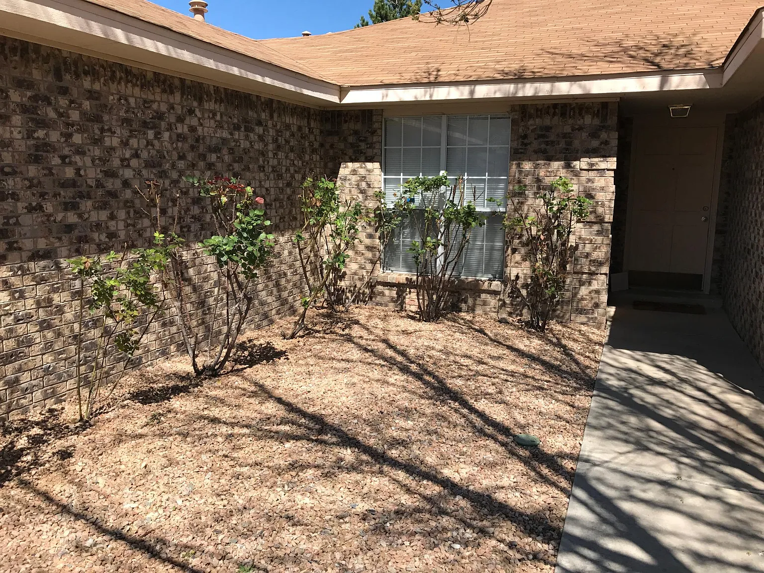 3 bed, 1680 sqft, $2,200 — Photo 3