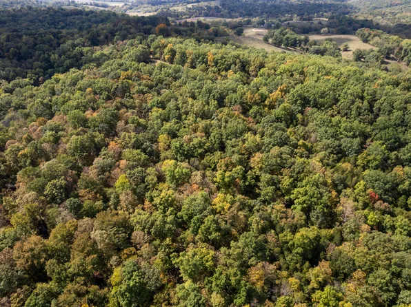 Clarks Creek Rd, Dry Ridge, KY 41035