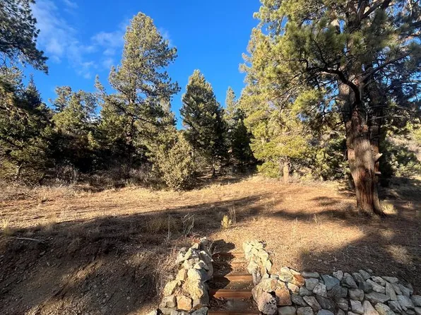 Forbes Rd, Fort Garland, CO 81133