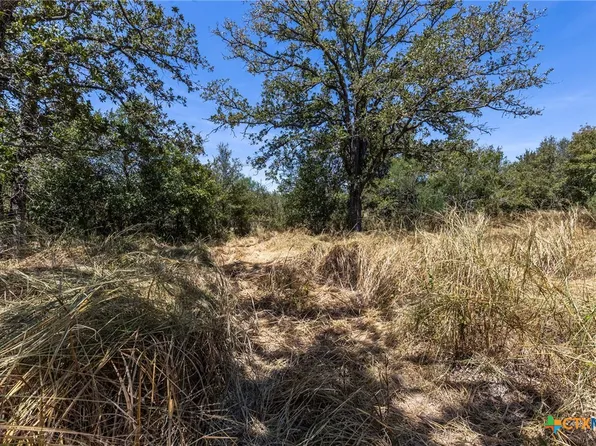 10 Gander Slough Rd, Kingsbury, TX 78638