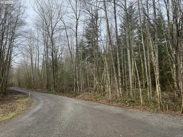 NE 84th Ave, Battle Ground, WA 98604