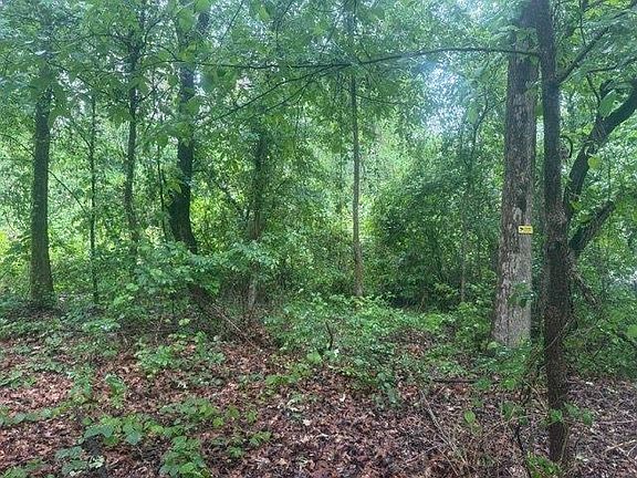 4th image of TRACT 7 King Rd