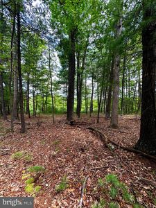 LOT 107 Mossy Oaks Rd, Yellow Spring, WV, 26865
