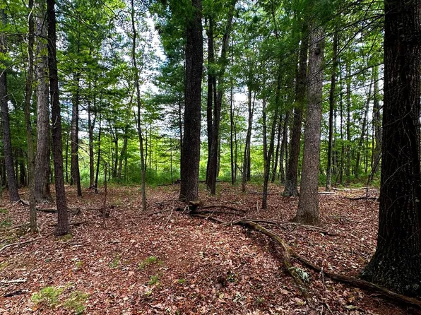 LOT 107 Mossy Oaks Rd, Yellow Spring, WV 26865