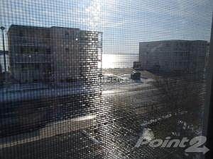 View from Living Room Window
