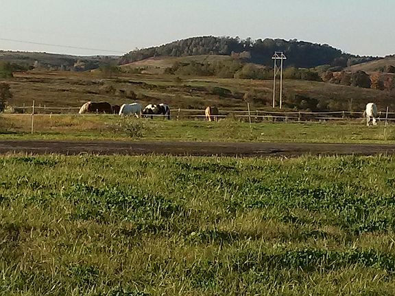 3rd image of 57481 Township Road 261