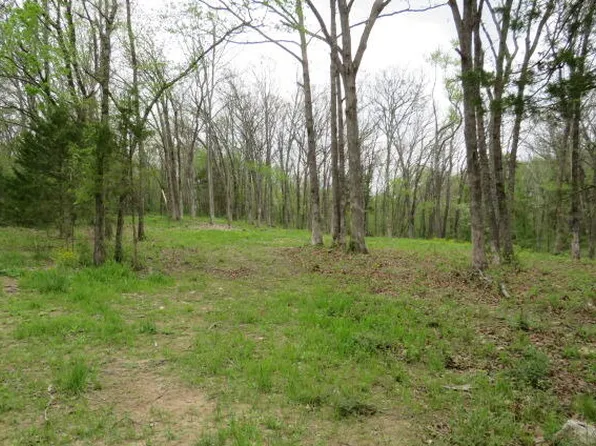 Tbd London Road, Mansfield, MO 65704