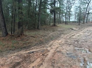 25590 Deepwood Dr, Magnolia, TX 77355