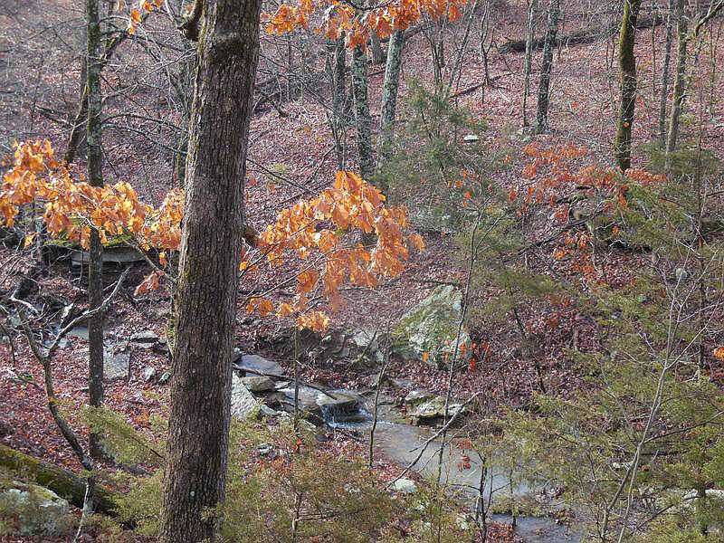 2nd image of Low Gap Rd