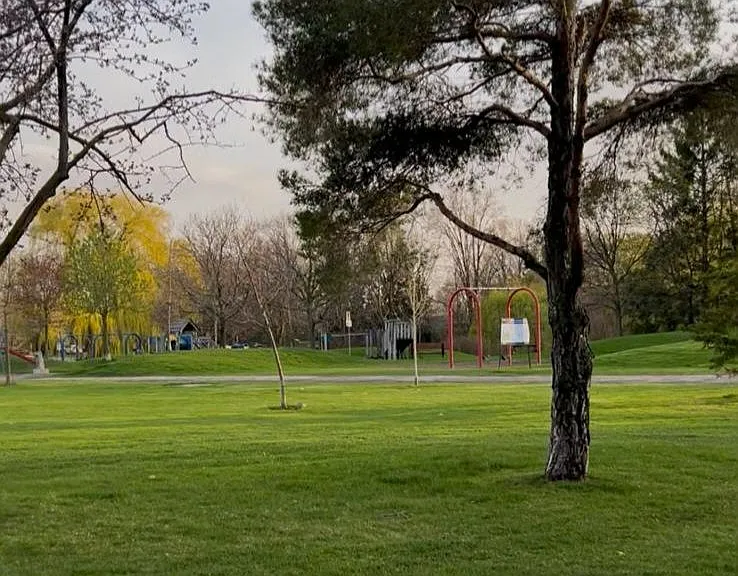 98 Wigmore Dr — Photo 24