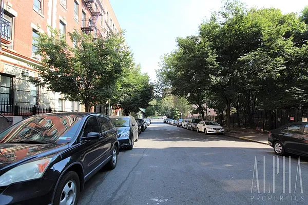 Rented by Alpha Properties NYC I LLC | media 15