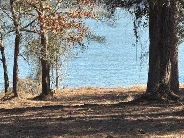 1867 Fm 3186 Lot 1, Onalaska, TX 77360