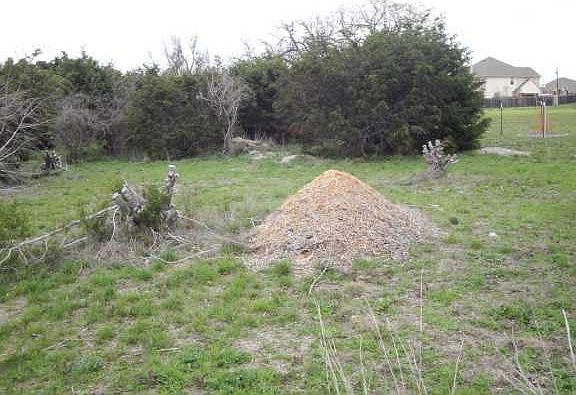 3rd image of 208 Hobby Horse