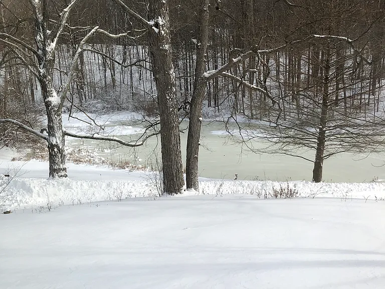 37 Red Tail Rd — Photo 34