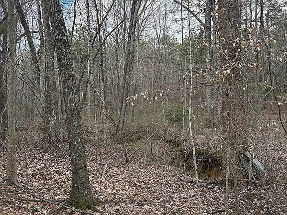 Photo Mar 16 2026 5 42 05 Pm