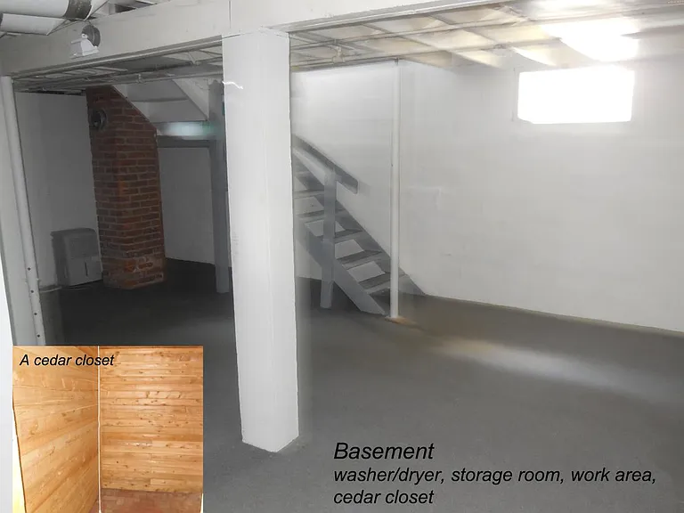 Basement with cedar closet