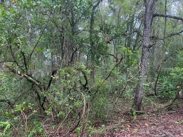 177 N OAKWOOD TERRACE LOT 7, INVERNESS, FL 34453
