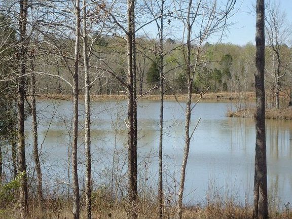 3rd image of 7 Tuscan Hills Dr