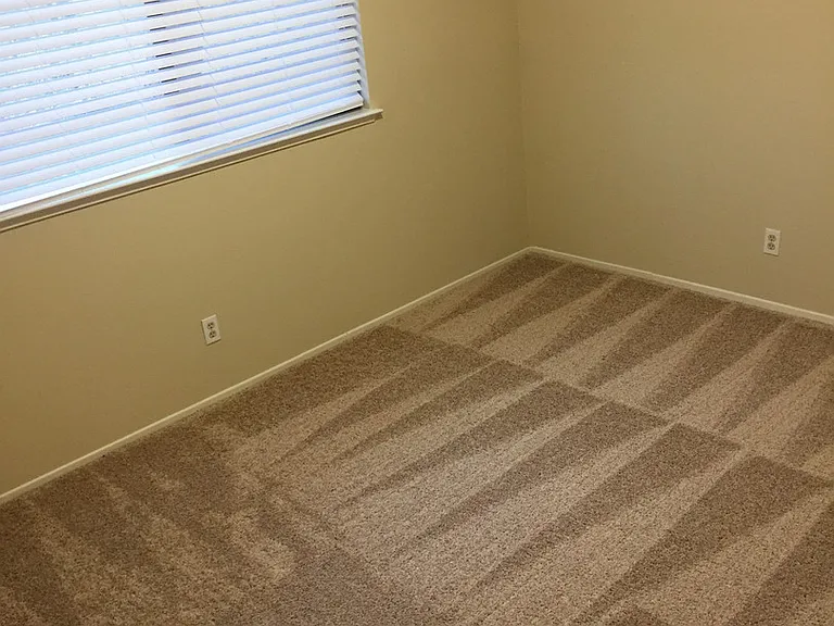110 Rock Ravine Ct — Photo 15