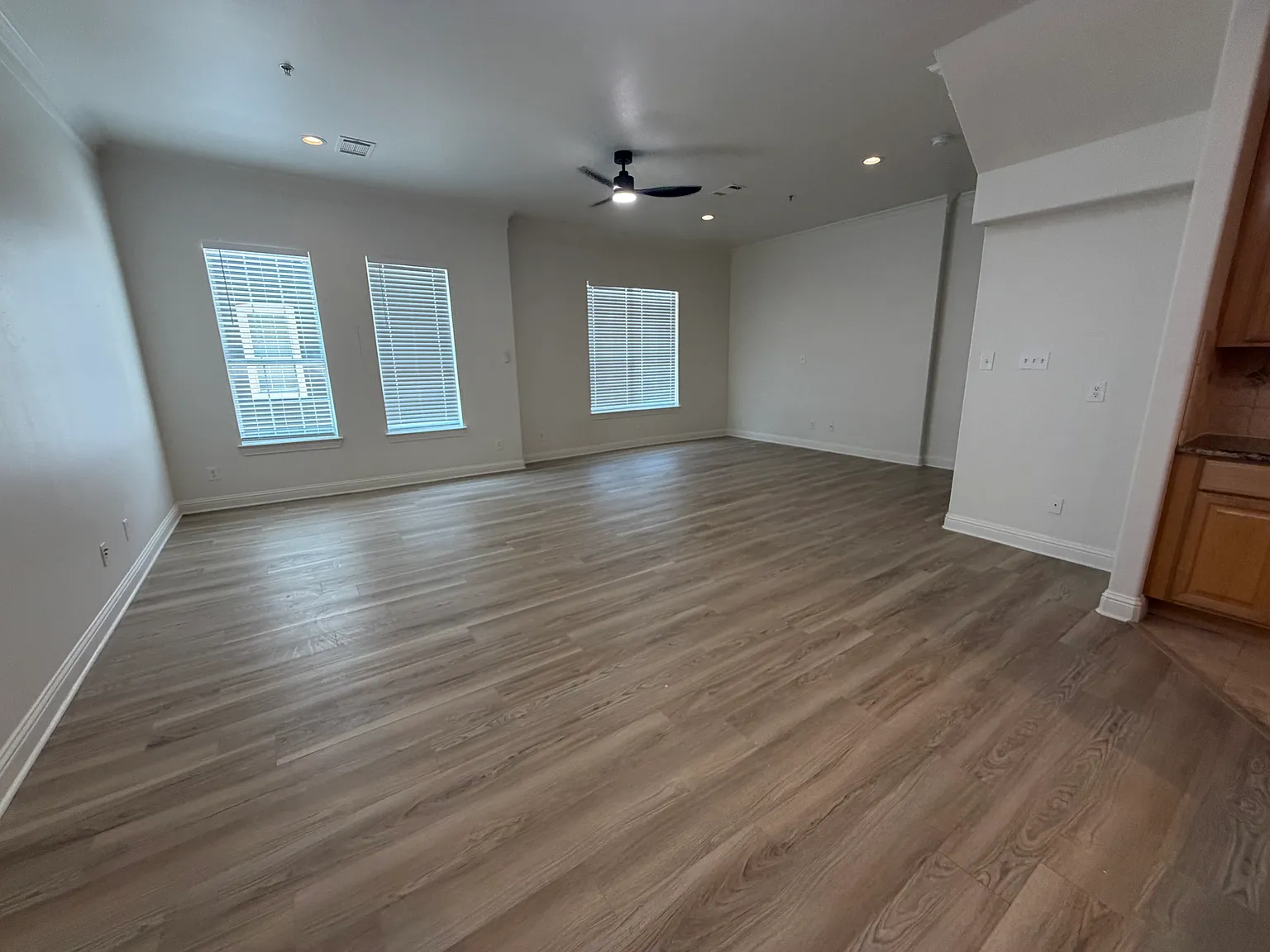2316 Stutz Dr — Photo 4