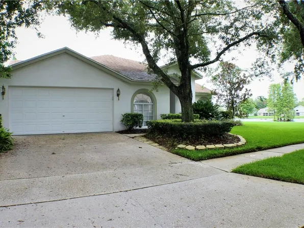 9325 Hampshire Park Dr, Tampa, FL 33647
