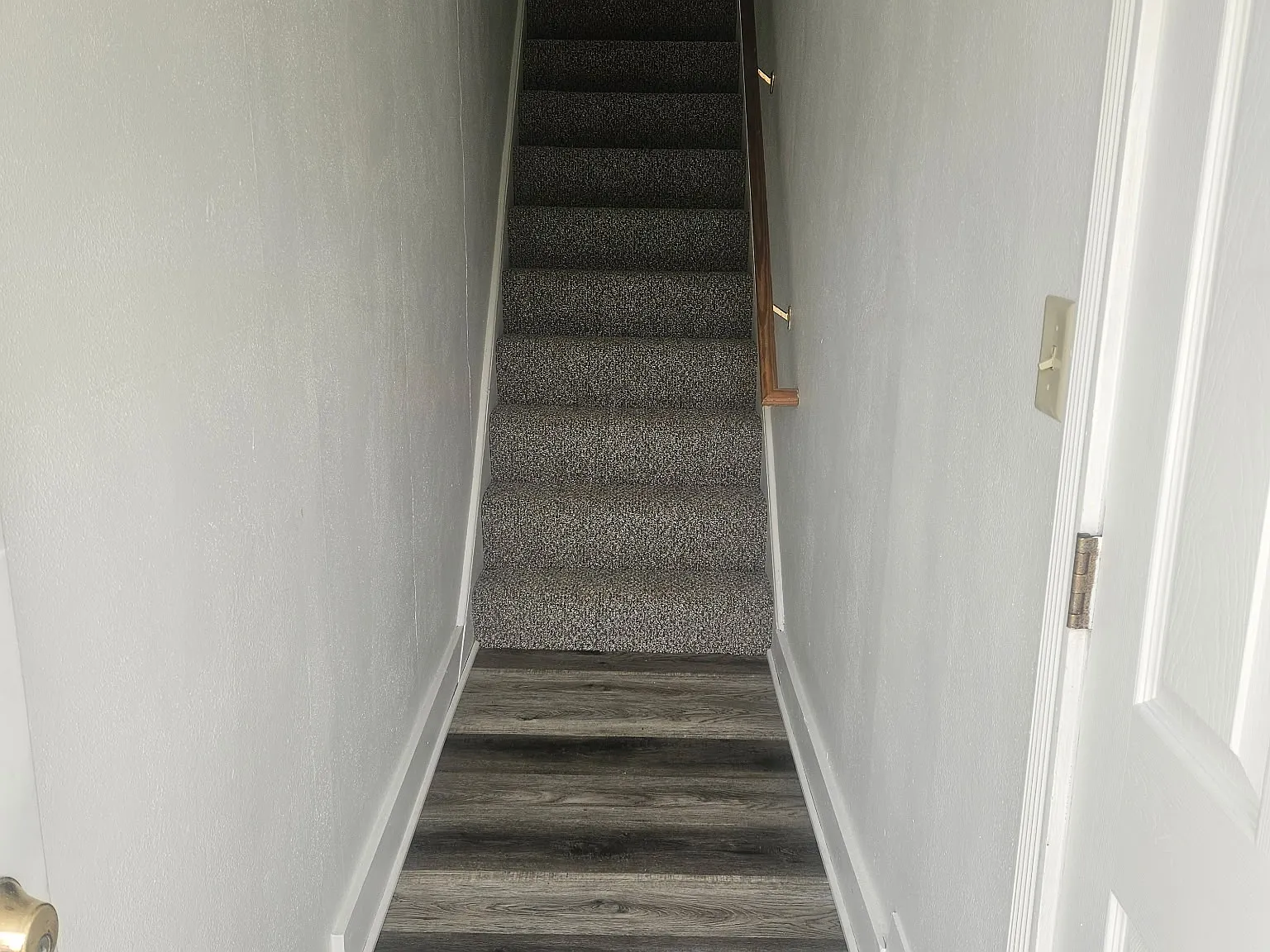 1 bed, $900 — Photo 3
