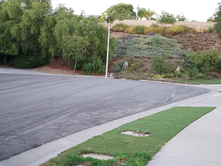 2256 Coriander Cir — Photo 20