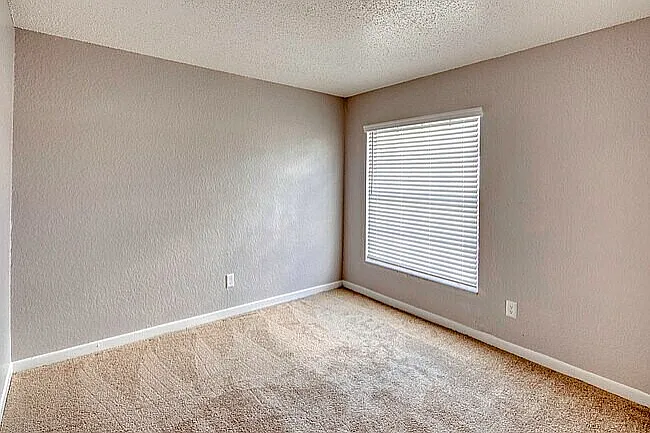 Bright and inviting bedroom with plush carpeting and a large window for ample natural light.