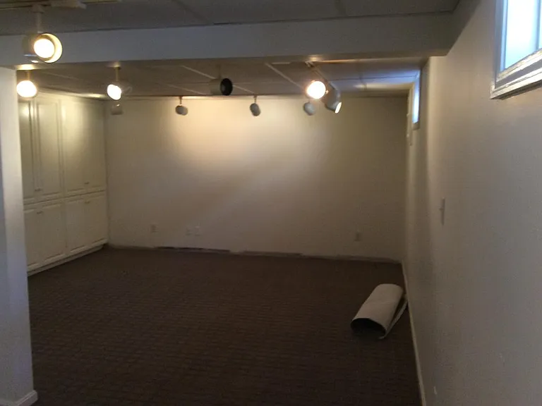 Partially finished basement with carpeting.