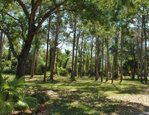 2nd image of 141 Sugar Mill Dr