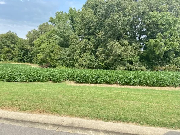 24 Brookfield Dr, Dexter, MO 63841