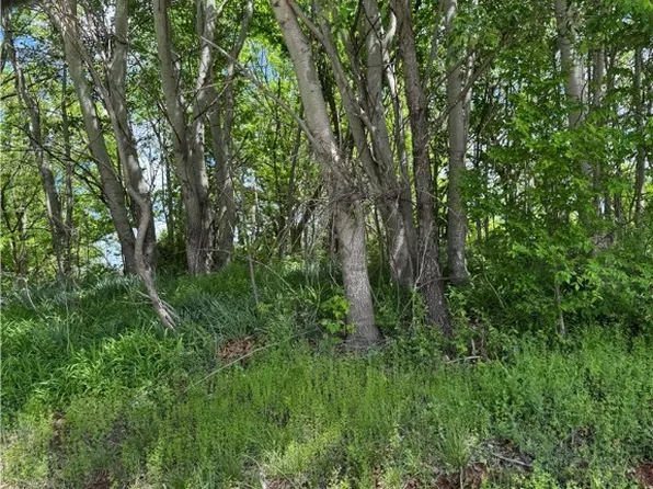 LOT 29 Blockade Vlg, Seligman, MO 65745