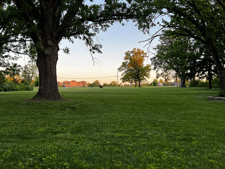 Front Lawn