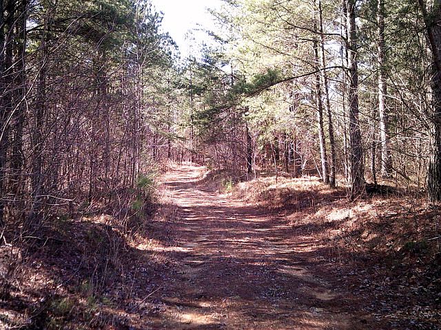1st image of 0 Holder Rd