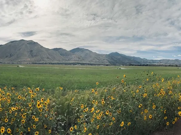 Lower Colony Rd #C3, Wellington, NV 89444