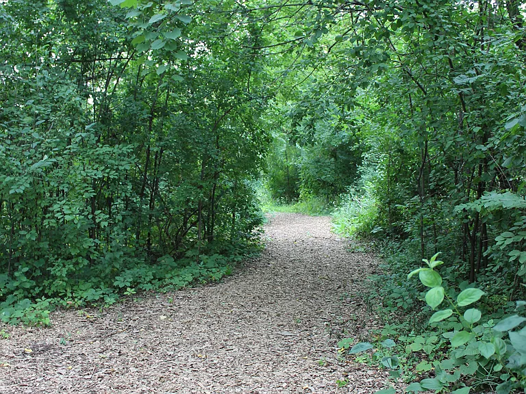 Arbor Lakes Walking Trails