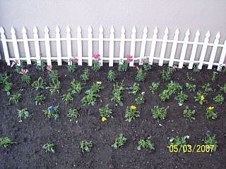 Flower Bed 2