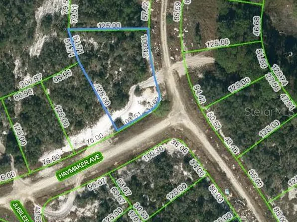 124 Summer Oak Ct #11, Lake Placid, FL 33852