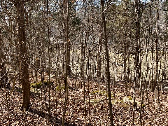2nd image of LOT 20 N Fork Dr